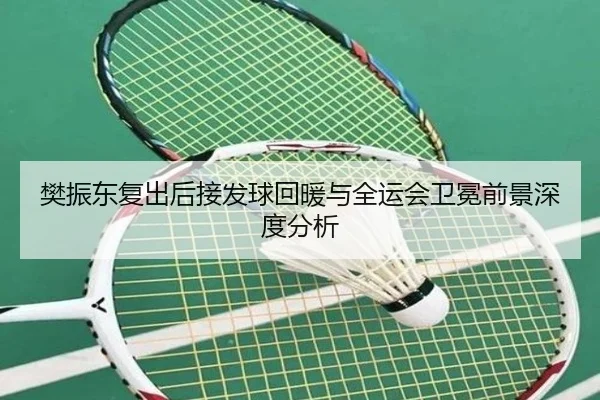 樊振东复出后接发球回暖与全运会卫冕前景深度分析（XINGKONG）